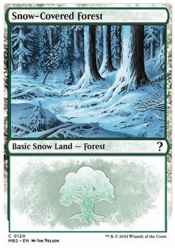 Snow-Covered Forest