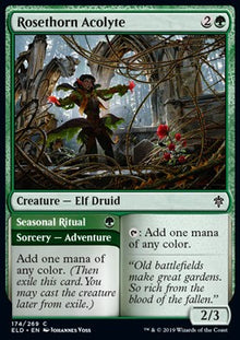 Rosethorn Acolyte // Seasonal Ritual⁣ - Throne of Eldraine⁣ (Common)⁣ [174]
