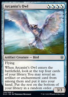 Arcanist's Owl⁣ - Throne of Eldraine⁣ (Uncommon)⁣ [206]