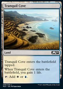 Tranquil Cove⁣ - Core 2021⁣ (Common)⁣ [258]