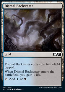 Dismal Backwater⁣ - Core 2021⁣ (Common)⁣ [245]