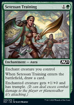 Setessan Training⁣ - Core 2021⁣ (Common)⁣ [205]
