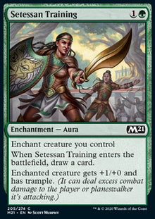 Setessan Training⁣ - Core 2021⁣ (Common)⁣ [205]