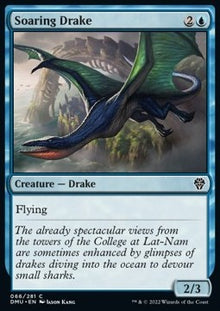 Soaring Drake⁣ - Dominaria United⁣ (Common)⁣ [66]