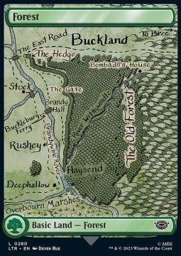 Forest (V.3)⁣ - The Lord of the Rings: Tales of Middle-earth⁣ (Land)⁣ [280]