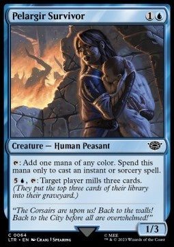 Pelargir Survivor⁣ - The Lord of the Rings: Tales of Middle-earth⁣ (Common)⁣ [64]