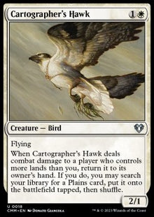 Cartographer's Hawk⁣ - Commander Masters⁣ (Uncommon)⁣ [18]