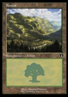 Forest (V.1)⁣ - Commander Masters: Extras⁣ (Land)⁣ [449]