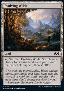Evolving Wilds⁣ - Wilds of Eldraine⁣ (Common)⁣ [256]
