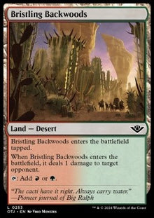 Bristling Backwoods⁣ - Outlaws of Thunder Junction⁣ (Land)⁣ [253]