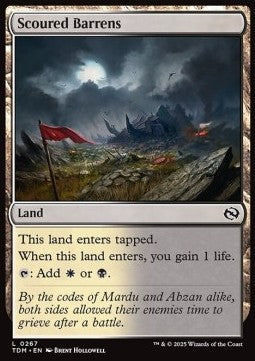 Scoured Barrens⁣ - Tarkir: Dragonstorm⁣ (Common)⁣ [267]