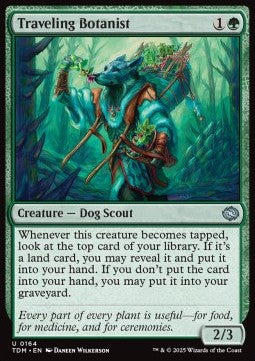 Traveling Botanist⁣ - Tarkir: Dragonstorm⁣ (Uncommon)⁣ [164]
