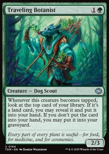 Traveling Botanist⁣ - Tarkir: Dragonstorm⁣ (Uncommon)⁣ [164]