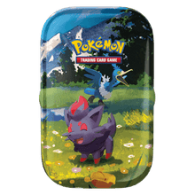 Ascended Heroes: Zorua Mini Tin - Ascended Heroes